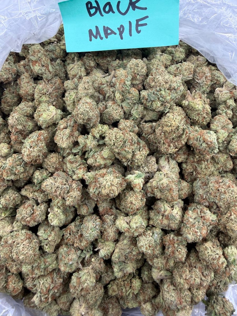 Black Maple THCA flower, Light Assist