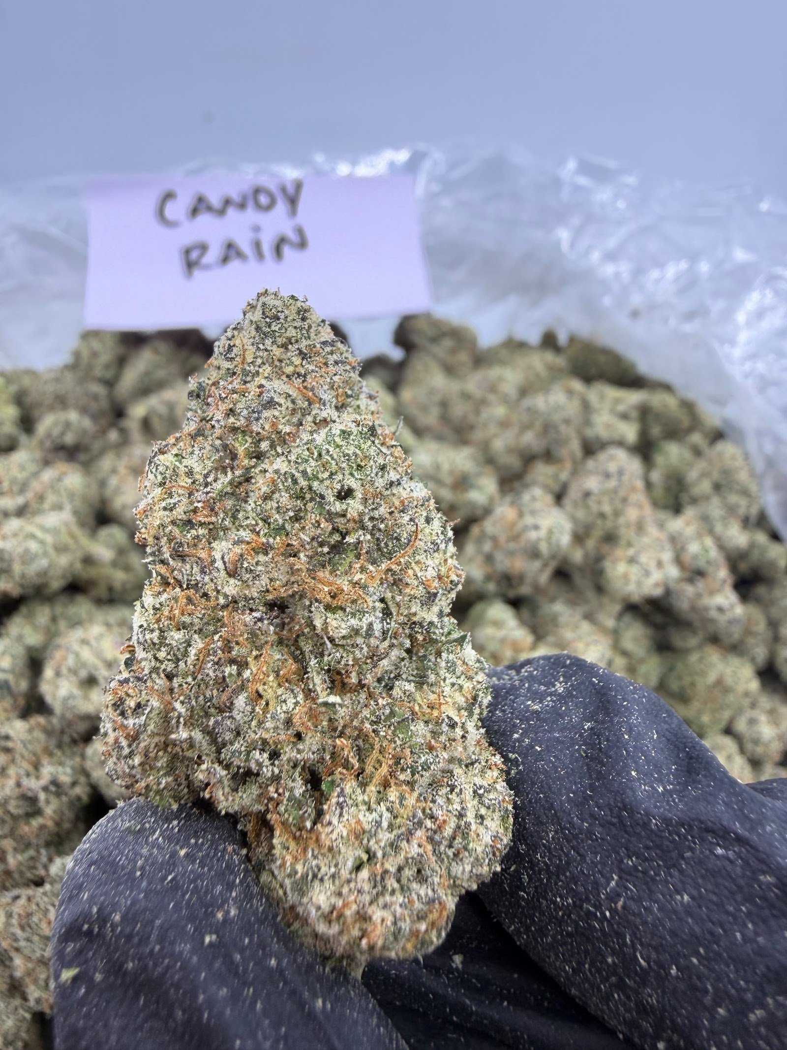 Candy Rain THCA flower, Exotics