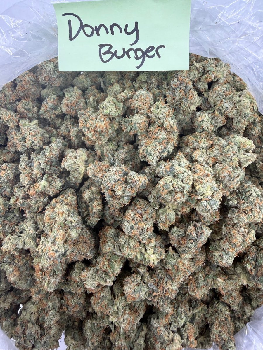 Donny Burger THCA flower, Indoor