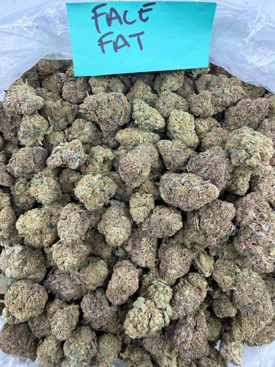 Face Fat THCA flower, Value Indoor
