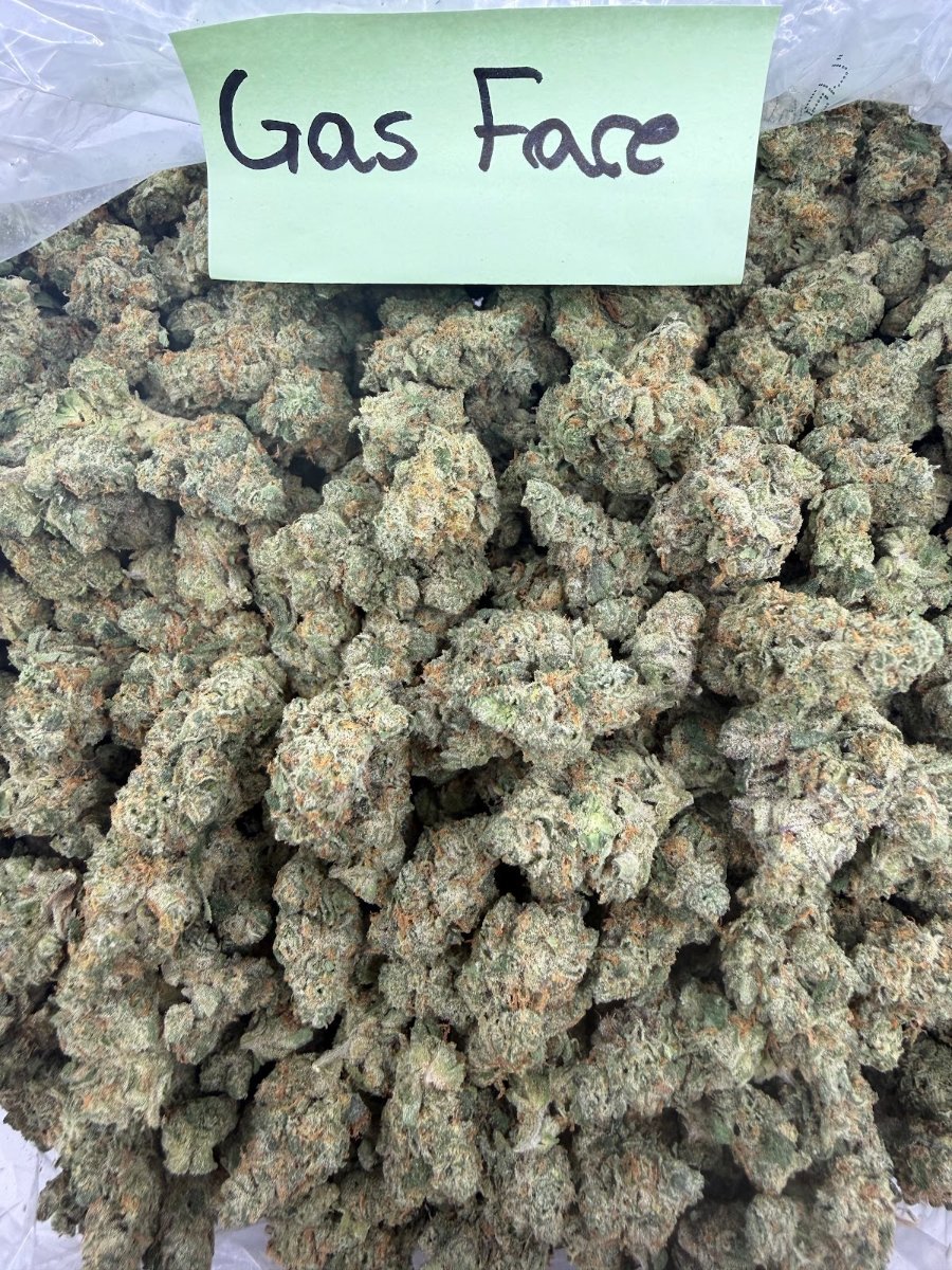 Gas Face THCA flower, Indoor