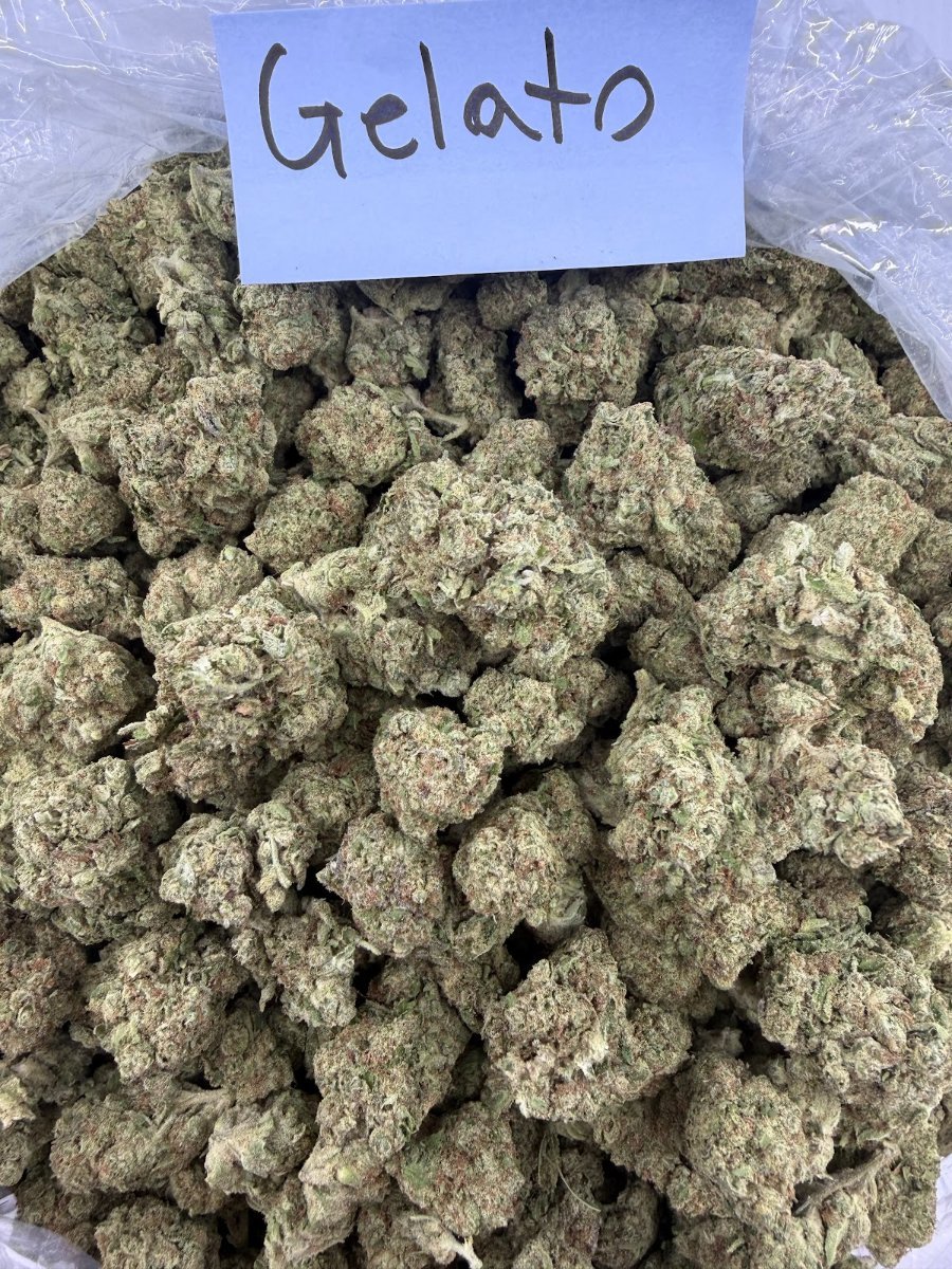 Gelato THCA flower, Light Assist