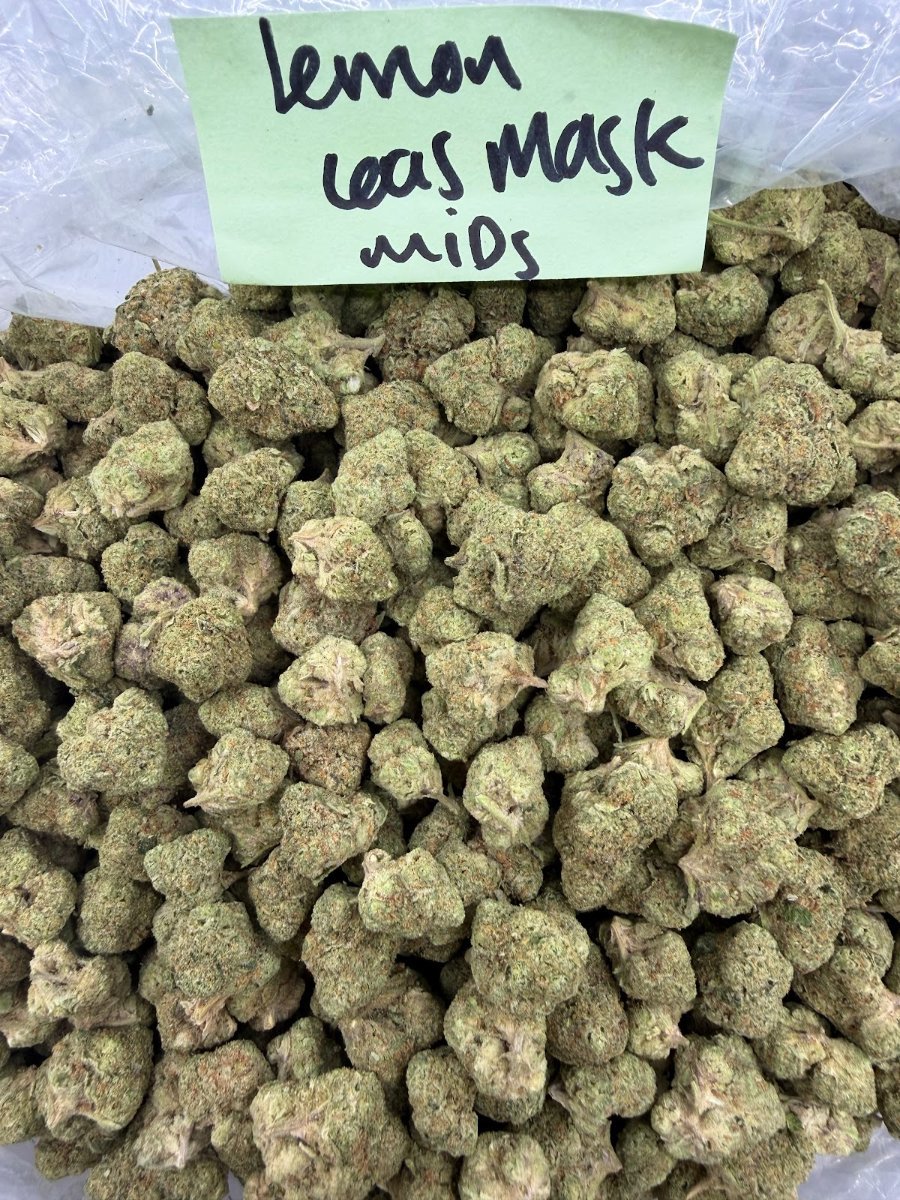 Lemon Gas Mask THCA flower, Indoor Mids