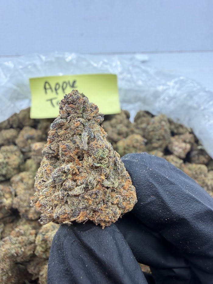 Apple Tart THCA flower