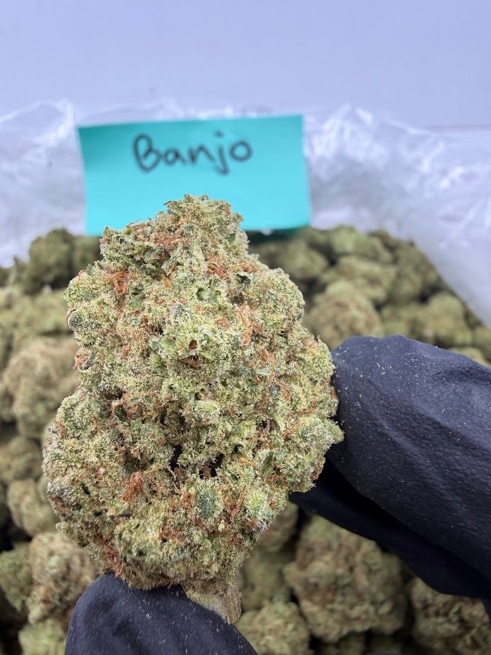 Banjo THCA flower