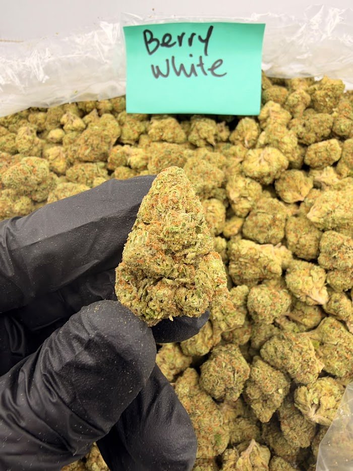 Berry White THCA flower