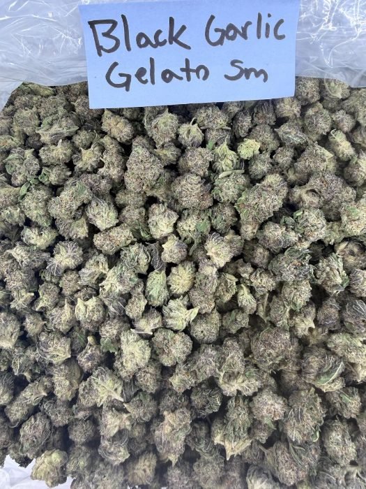 Black Garlic Gelato THCA flower