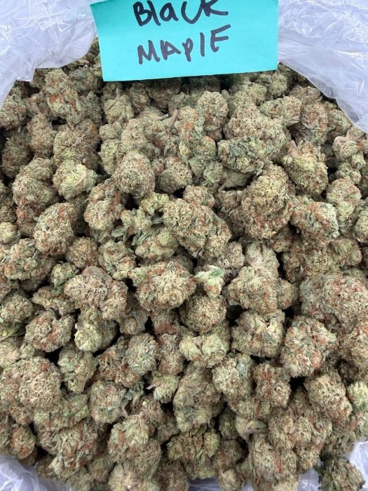 Black Maple THCA flower