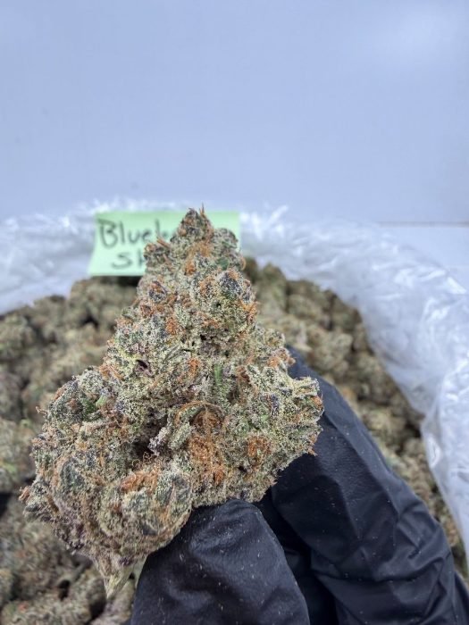 Blueberry Skittlez THCA flower