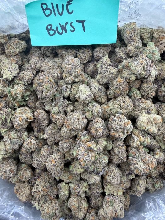 Blue Burst THCA flower