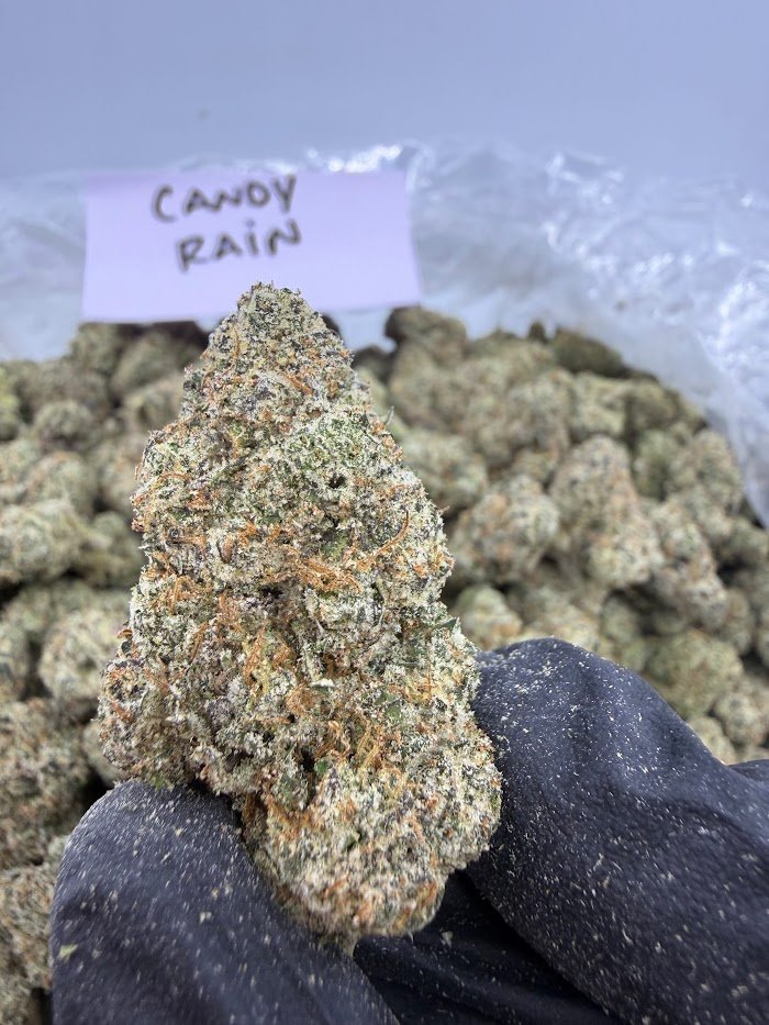 Candy Rain THCA flower