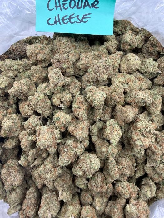 Cheddar Cheese THCA flower