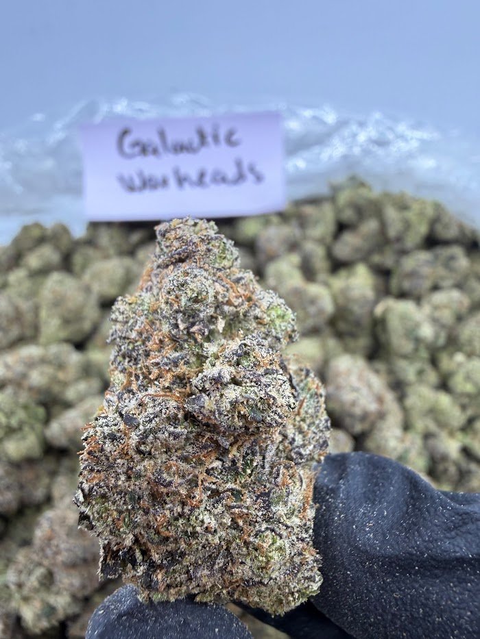 Galactic Warheads THCA flower
