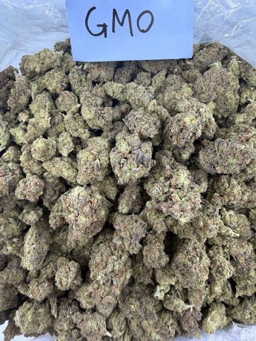 GMO THCA flower