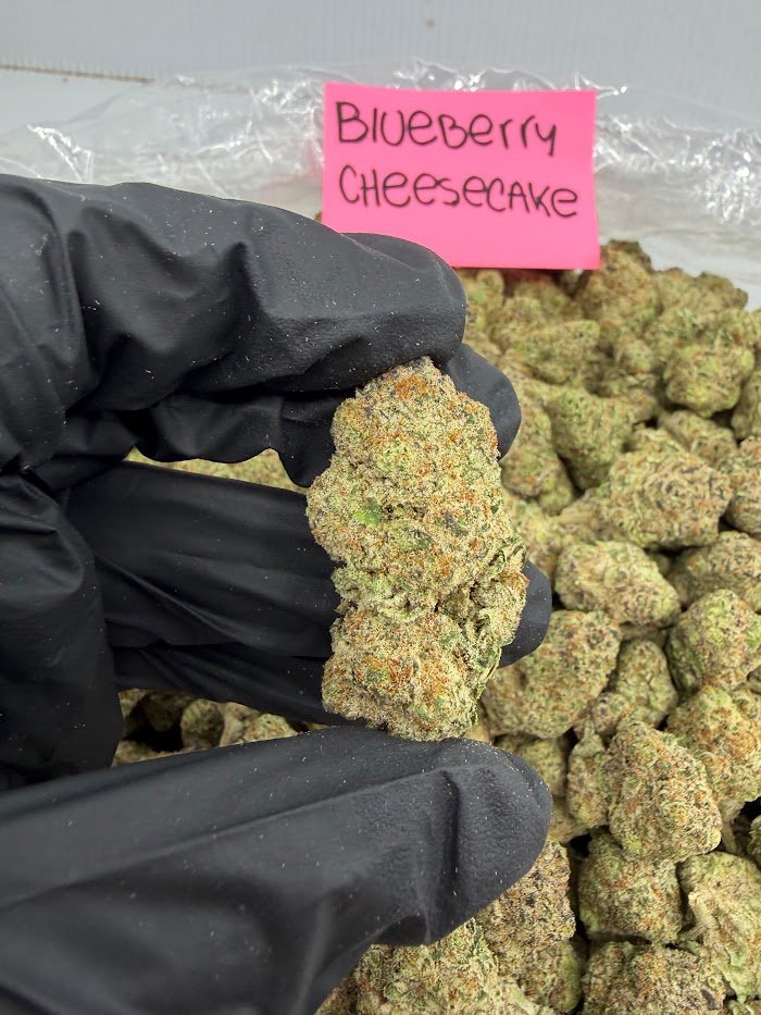 Grapefruit Diesel THCA flower