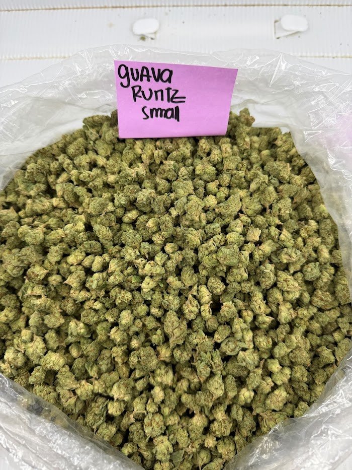 Guava Runtz THCA flower
