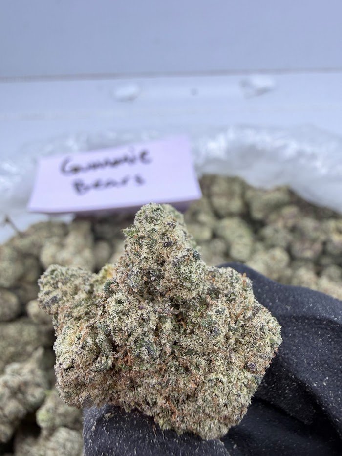 Gummie Bears THCA flower