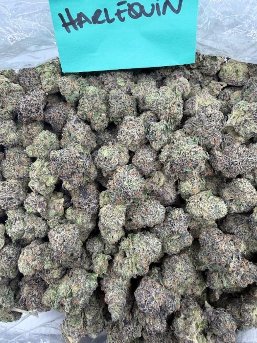 Harlequin THCA flower