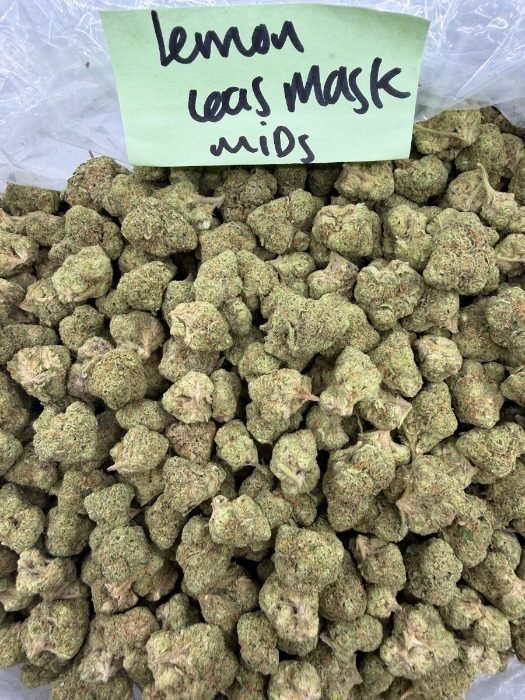 Lemon Gas Mask THCA flower