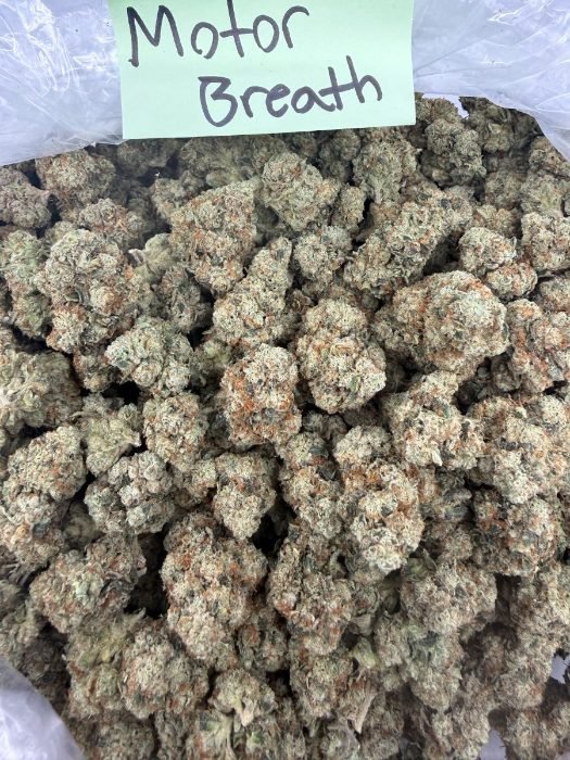 Motor Breath THCA flower