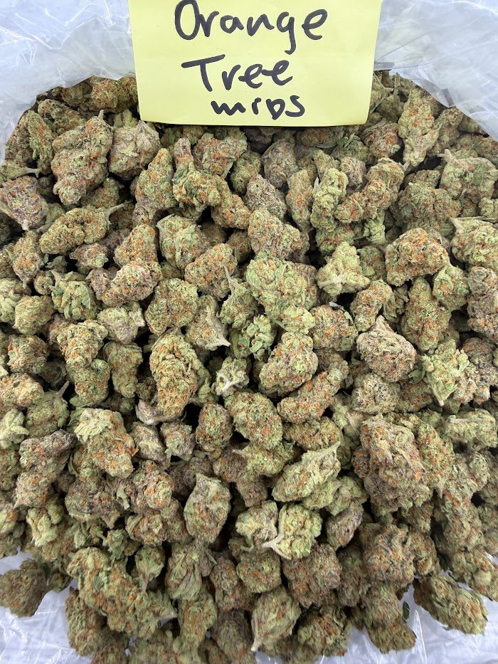 Orange Tree THCA flower