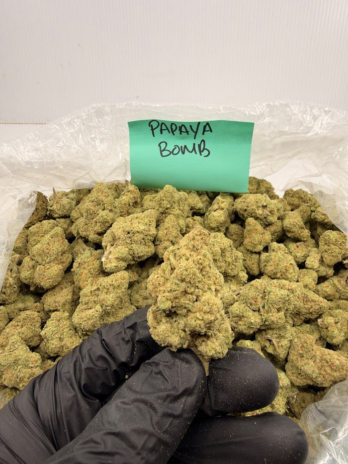 Papaya Bomb THCA flower