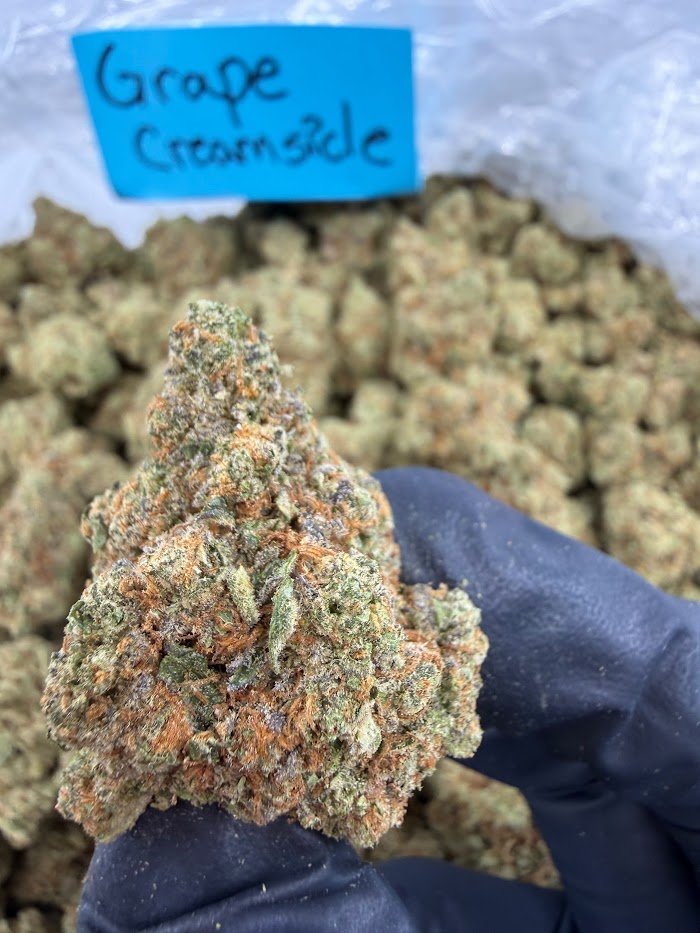 Purple Milk THCA flower