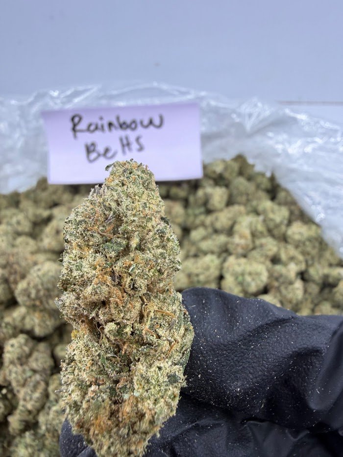 Rainbow Belts THCA flower