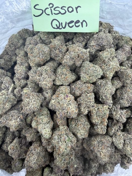 Scissor Queen THCA flower
