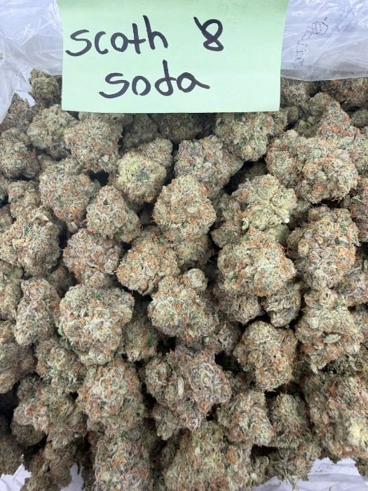 Scotch and Soda THCA flower