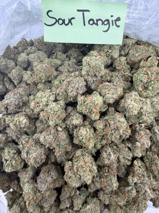 Sour Tangie THCA flower