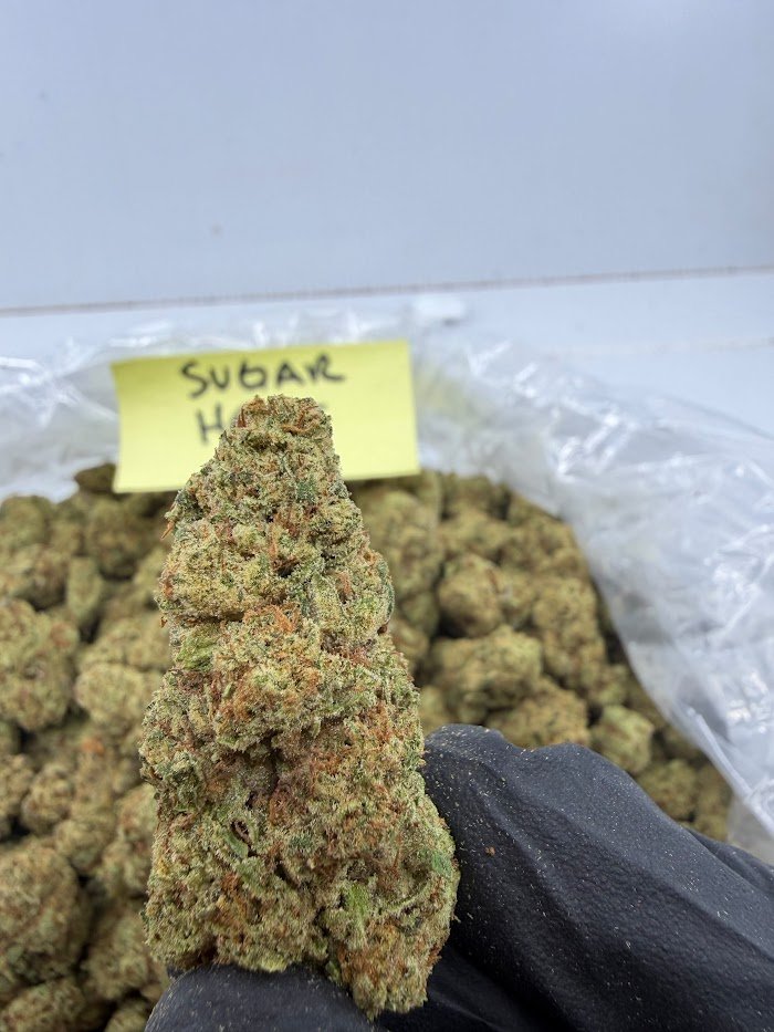 Sugar Heist THCA flower