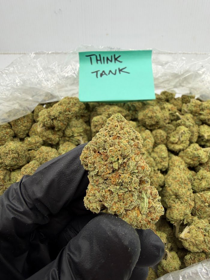 Think Tank THCA flower