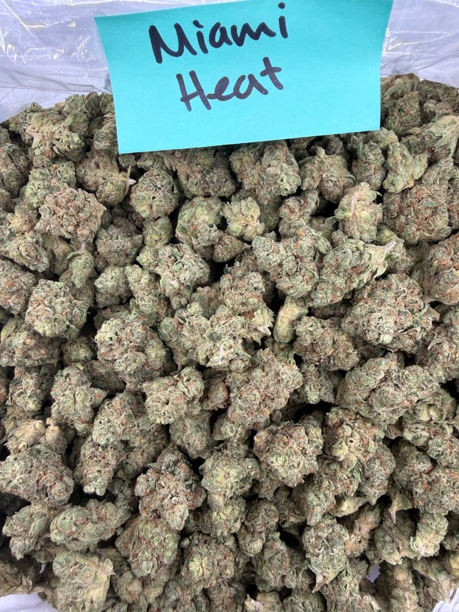 Miami Heat THCA flower, Light Assist