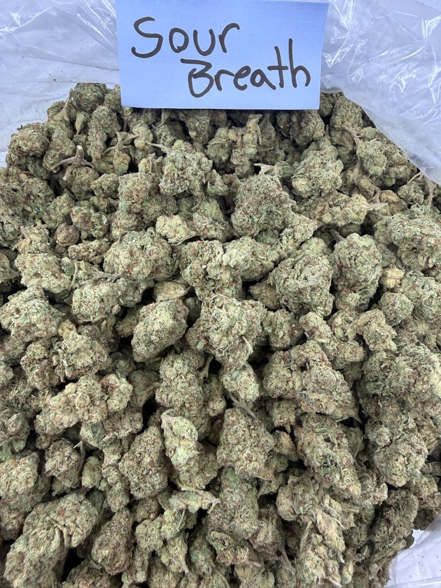 Sour Breath THCA flower, Light Assist